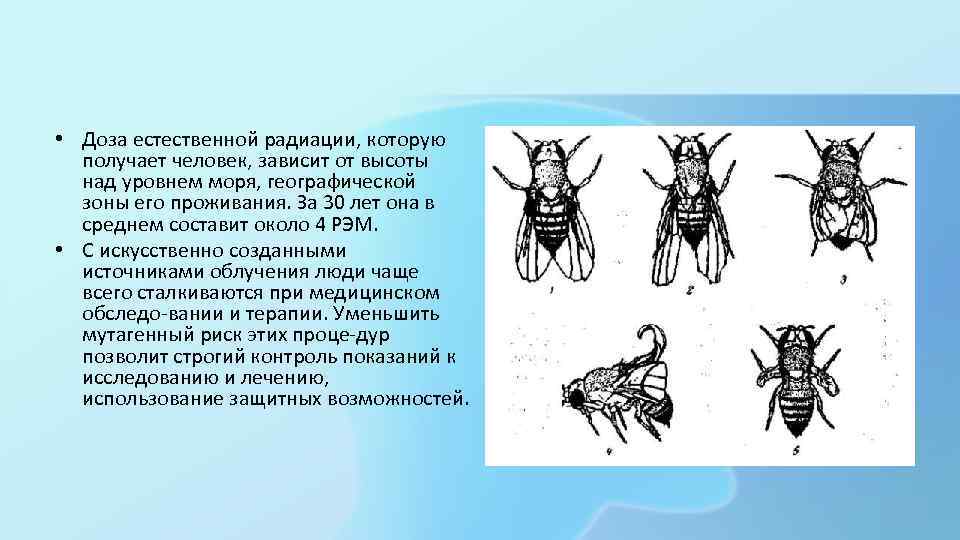  • Доза естественной радиации, которую получает человек, зависит от высоты над уровнем моря,