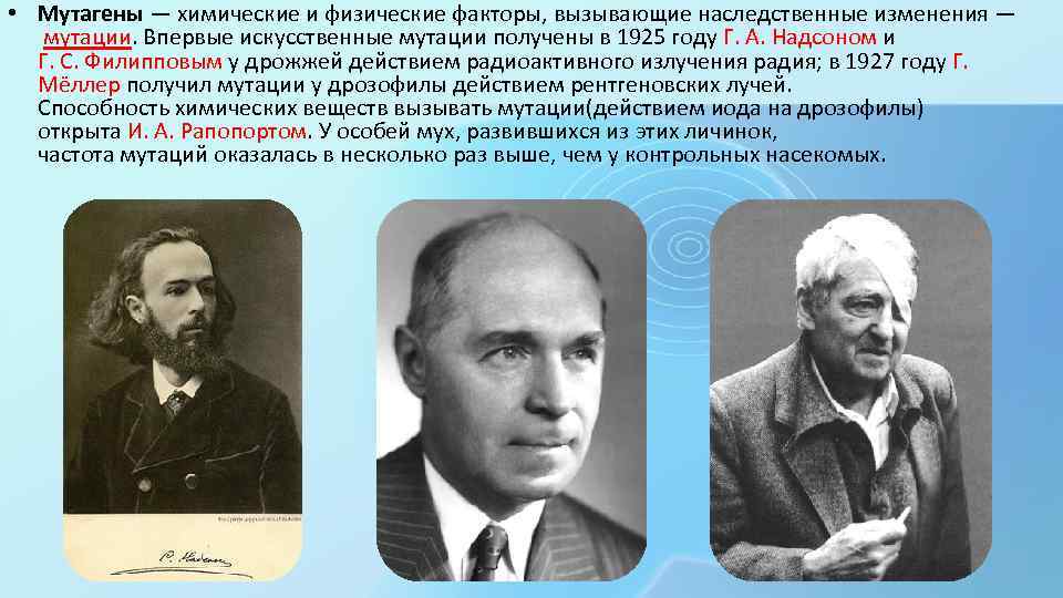  • Мутагены — химические и физические факторы, вызывающие наследственные изменения — мутации. Впервые