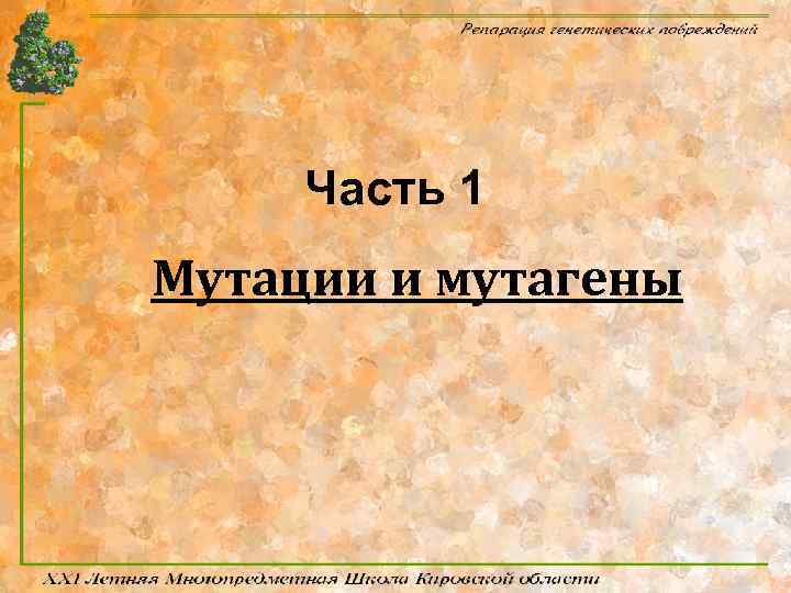 Часть 1 Мутации и мутагены 