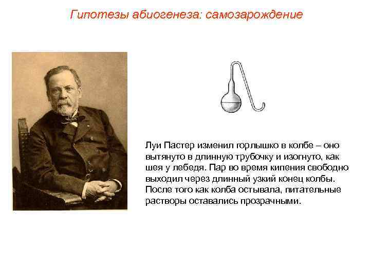 Гипотезы абиогенеза: самозарождение Луи Пастер изменил горлышко в колбе – оно вытянуто в длинную
