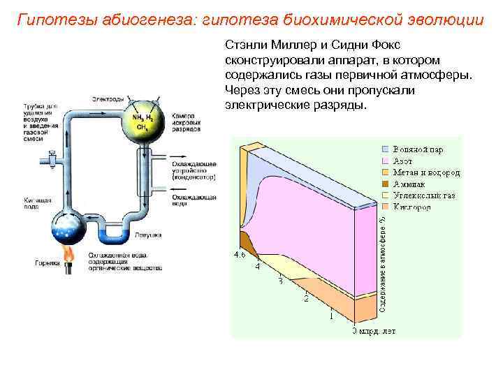 Гипотезы абиогенеза: гипотеза биохимической эволюции Стэнли Миллер и Сидни Фокс сконструировали аппарат, в котором