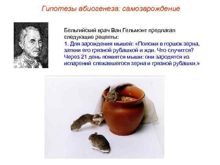 Гипотезы абиогенеза: самозарождение Бельгийский врач Ван Гельмонт предлагал следующие рецепты: 1. Для зарождения мышей: