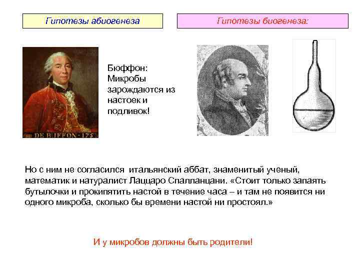 Гипотезы абиогенеза Гипотезы биогенеза: Бюффон: Микробы зарождаются из настоек и подливок! Но с ним