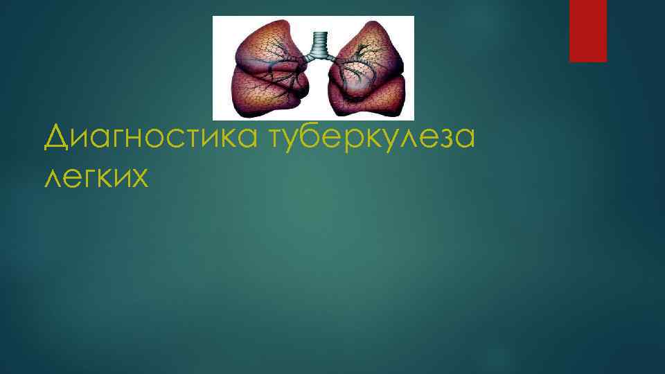 Диагностика туберкулеза легких 