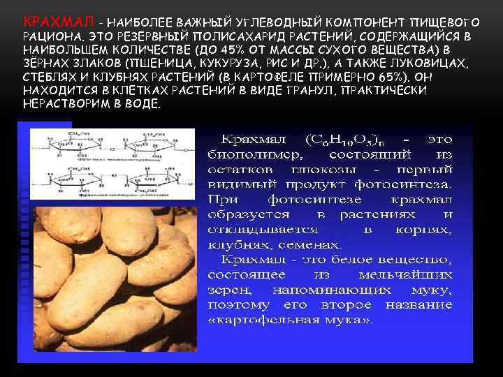 КРАХМАЛ - НАИБОЛЕЕ ВАЖНЫЙ УГЛЕВОДНЫЙ КОМПОНЕНТ ПИЩЕВОГО РАЦИОНА. ЭТО РЕЗЕРВНЫЙ ПОЛИСАХАРИД РАСТЕНИЙ, СОДЕРЖАЩИЙСЯ В