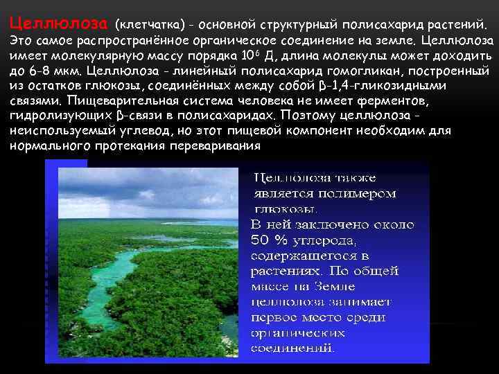 Целлюлоза (клетчатка) - основной структурный полисахарид растений. Это самое распространённое органическое соединение на земле.