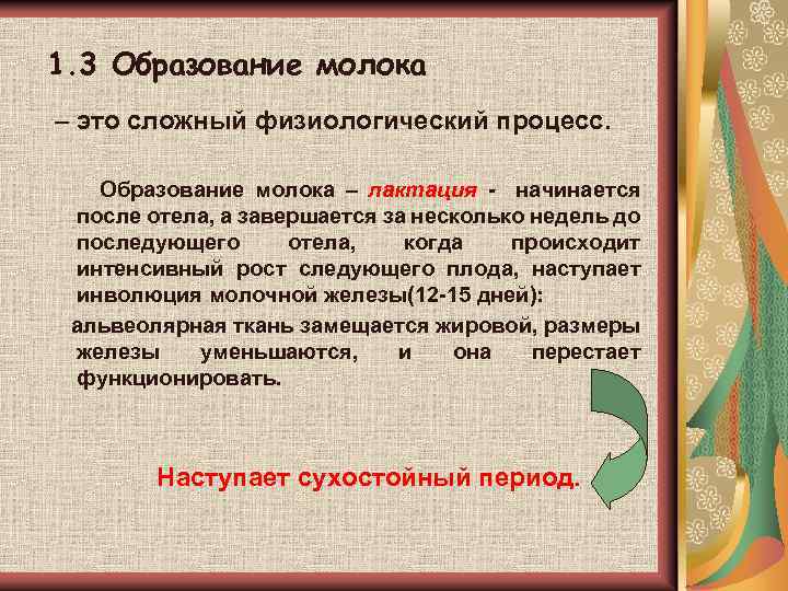 1. 3 Образование молока – это сложный физиологический процесс. Образование молока – лактация -