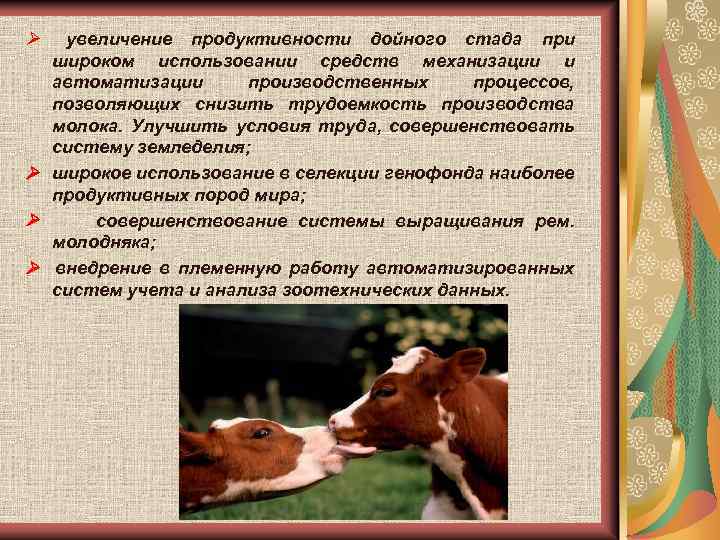 Ø увеличение продуктивности дойного стада при широком использовании средств механизации и автоматизации производственных процессов,