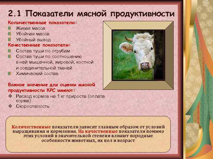 2. 1 Показатели мясной продуктивности Количественные показатели: Живая масса Убойный выход Качественные показатели: Состав