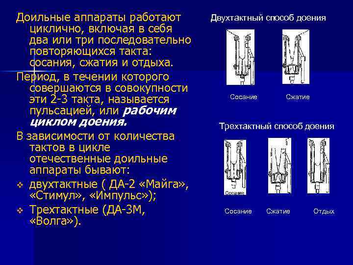 Доильные аппараты работают циклично, включая в себя два или три последовательно повторяющихся такта: сосания,