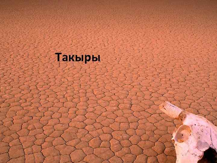 Такыры 