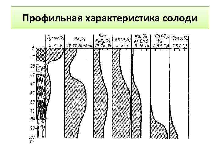 Профильная характеристика солоди 