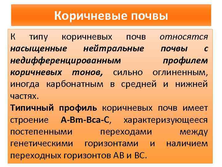 Коричневые почвы К типу коричневых почв относятся насыщенные нейтральные почвы с недифференцированным профилем коричневых