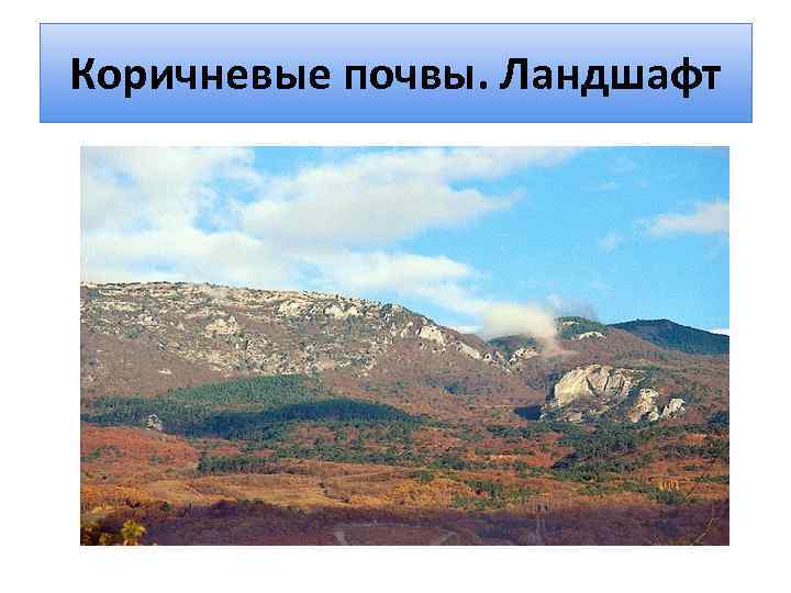 Коричневые почвы. Ландшафт 