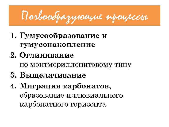 Почвообразующие процессы 1. Гумусообразование и гумусонакопление 2. Оглинивание по монтмориллонитовому типу 3. Выщелачивание 4.