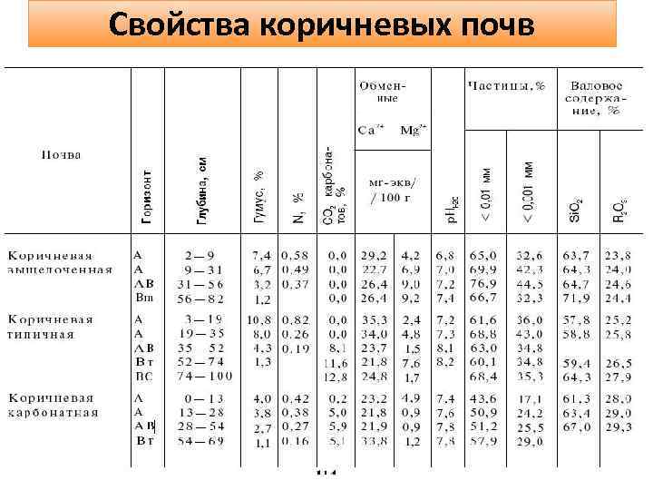 Свойства коричневых почв 