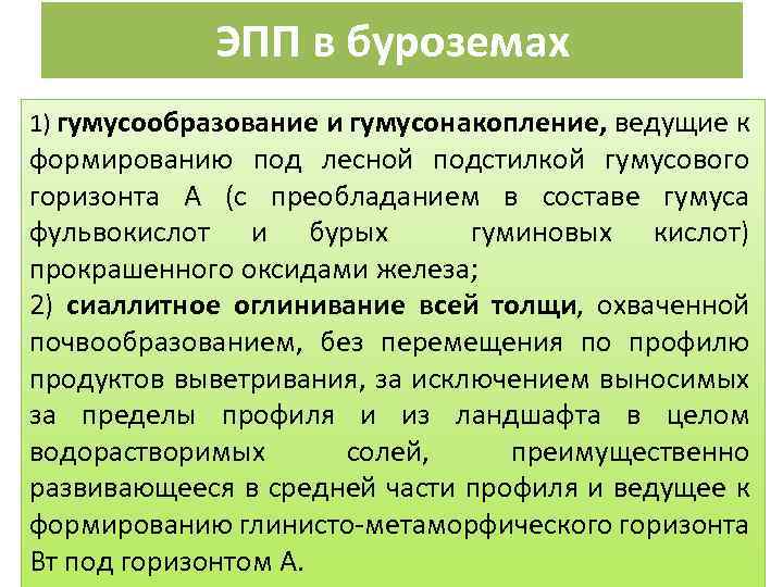 ЭПП в буроземах 1) гумусообразование и гумусонакопление, ведущие к формированию под лесной подстилкой гумусового