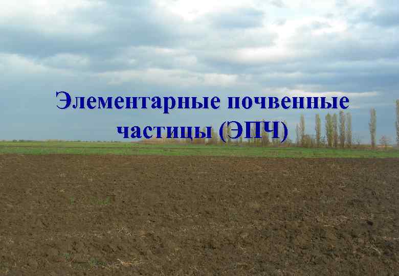 Элементарные почвенные частицы (ЭПЧ) 