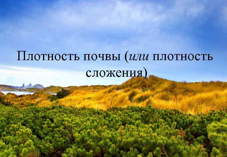 Плотность почвы (или плотность сложения) 