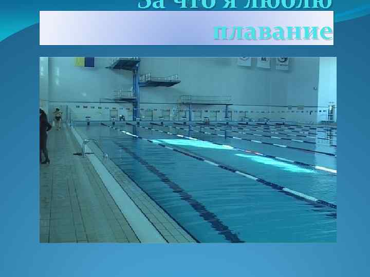 За что я люблю плавание 