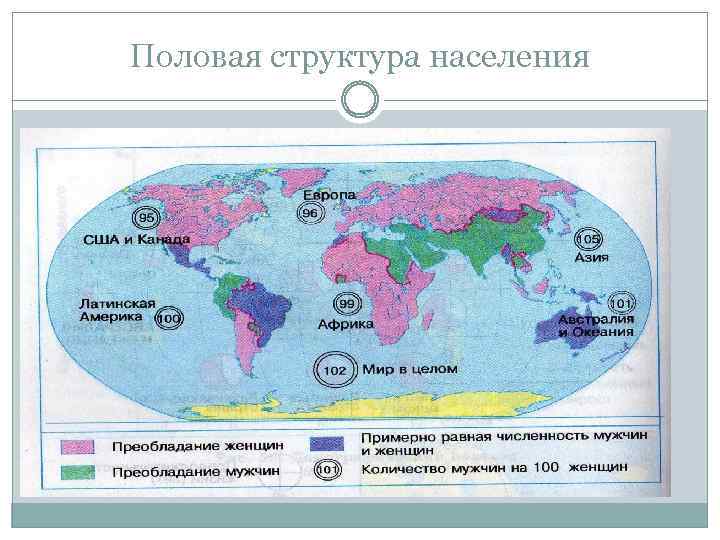 Половая структура населения 