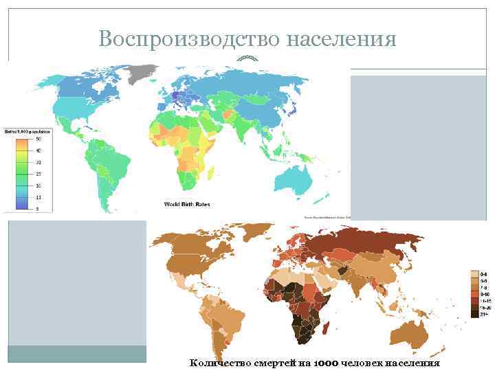 Воспроизводство населения Количество смертей на 1000 человек населения 