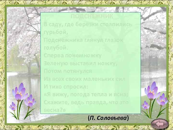 ПОДСНЕЖНИК В саду, где берёзки столпились гурьбой, Подснежника глянул глазок голубой. Сперва понемножку Зеленую