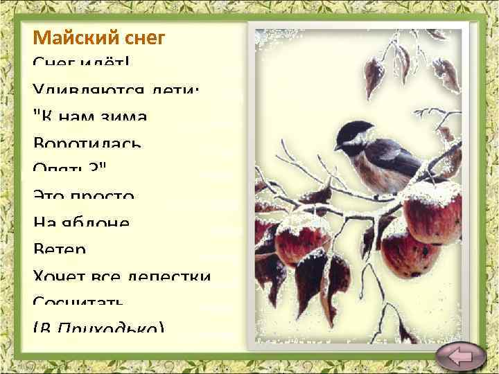 Майский снег Снег идёт! Удивляются дети: "К нам зима Воротилась Опять? " Это просто