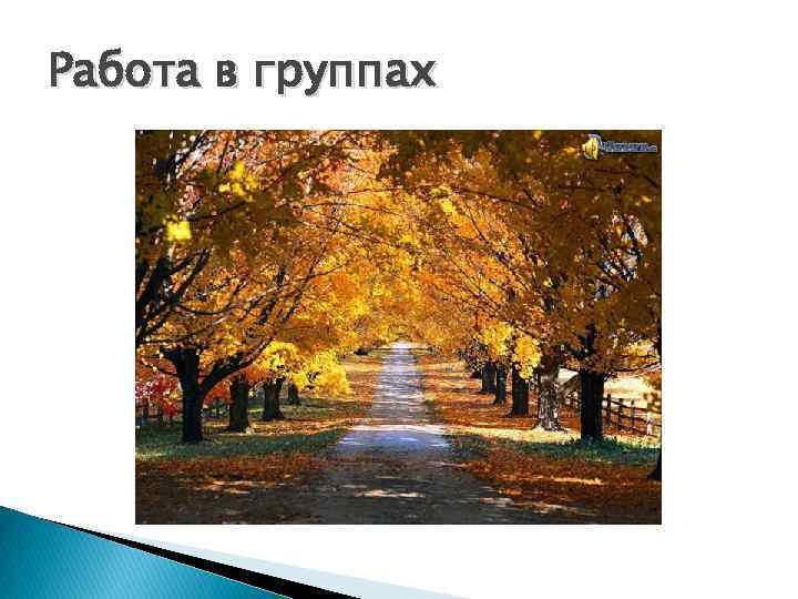 Работа в группах 