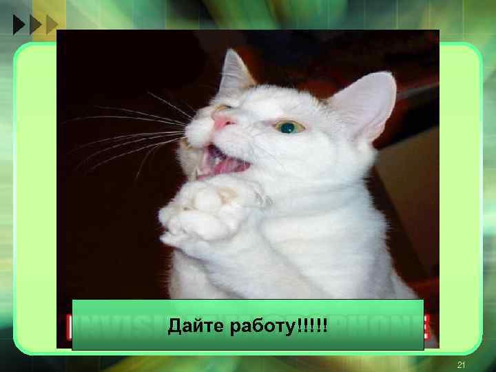 Дайте работу!!!!! 21 