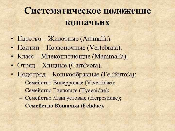 Систематическое положение кошачьих • • • Царство – Животные (Animalia). Подтип – Позвоночные (Vertebrata).