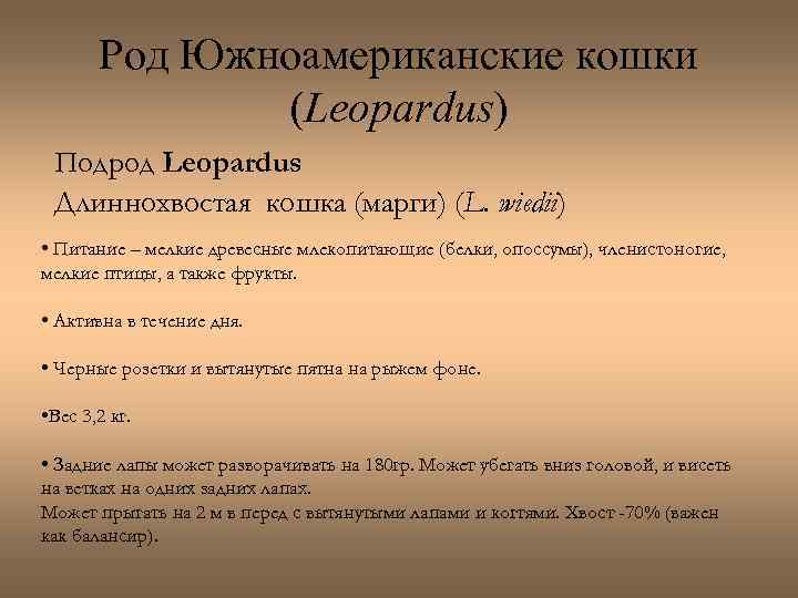 Род Южноамериканские кошки (Leopardus) Подрод Leopardus Длиннохвостая кошка (марги) (L. wiedii) • Питание –