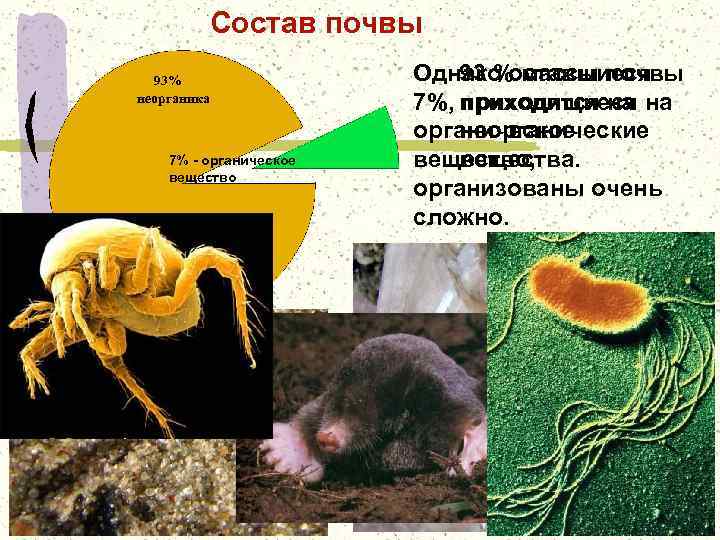 Состав почвы 93% неорганика 7% - органическое вещество Однако оставшиеся 93 % массы почвы