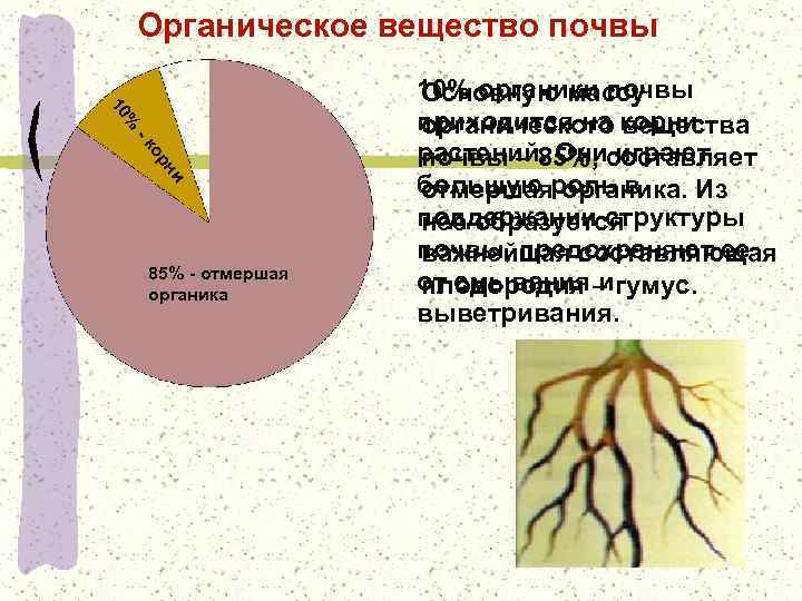 Органическое вещество почвы