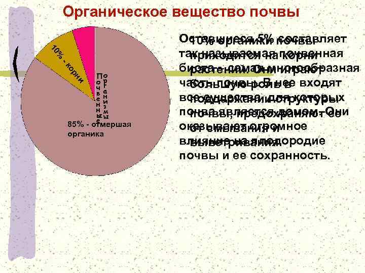 Органическое вещество почвы. Состав органического вещества почвы. Компоненты органического вещества почв. Как называется органическое вещество почвы?.