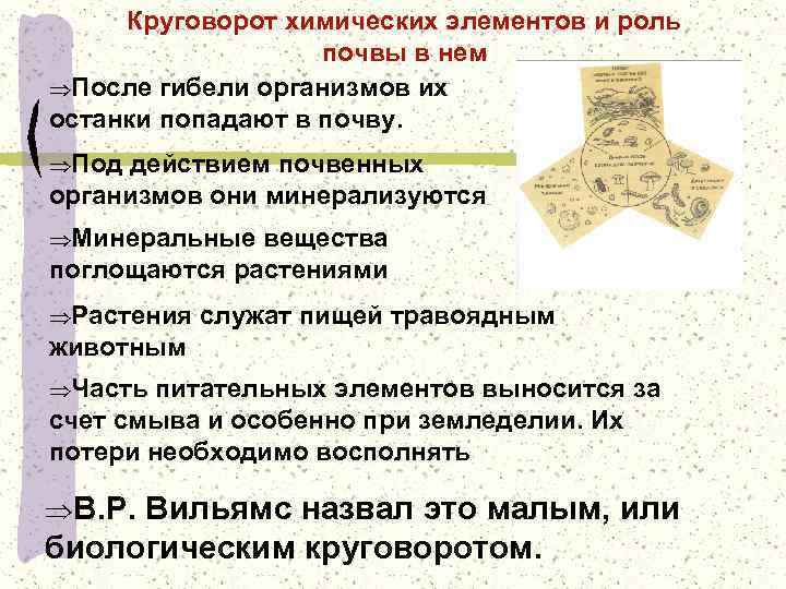 Круговорот химических элементов и роль почвы в нем ÞПосле гибели организмов их останки попадают