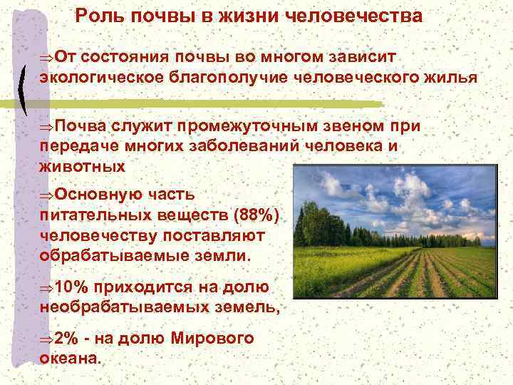 Экологическая роль почв. Роль почвы в жизни. Роль почвы в природе. Роль почвы для человека. Место и роль почвы в жизни и деятельности человека.