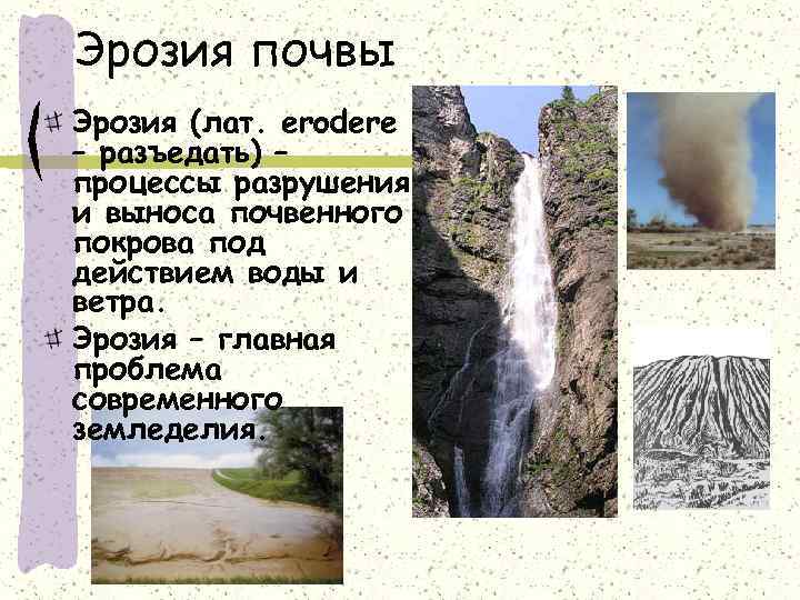 Эрозия почвы Эрозия (лат. erodere – разъедать) – процессы разрушения и выноса почвенного покрова