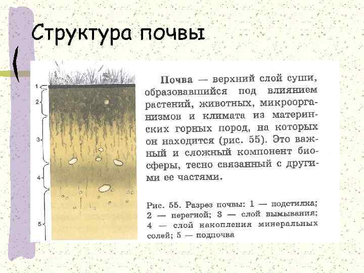 Как называется слой почвы содержащий органические соединения. Плитчатая структура почвы. Структурный состав почвы. Глыбистая структура почвы. Состав и строение почвы.