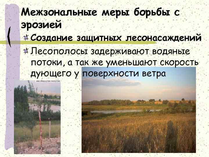 Межзональные меры борьбы с эрозией Создание защитных лесонасаждений Лесополосы задерживают водяные потоки, а так