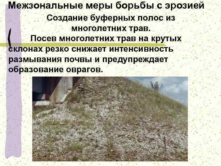 Межзональные меры борьбы с эрозией Создание буферных полос из многолетних трав. Посев многолетних трав