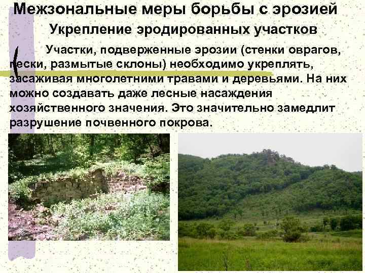 Межзональные меры борьбы с эрозией Укрепление эродированных участков Участки, подверженные эрозии (стенки оврагов, пески,