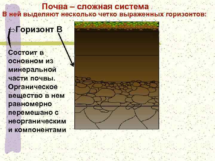 Почва является веществом. Части почвы. Органическая часть почвы почвы. Органическая часть почвы презентация. Минеральная часть почвы состоит из.