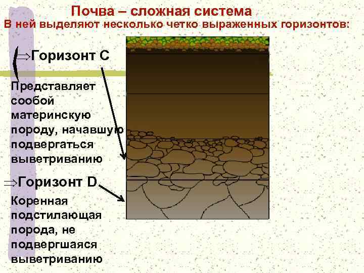 Почва является системой. Почва. Почвенная система. Материнская порода почвы. Подстилающая порода.