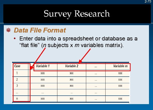 2 -75 Survey Research ¯ Data File Format • Enter data into a spreadsheet