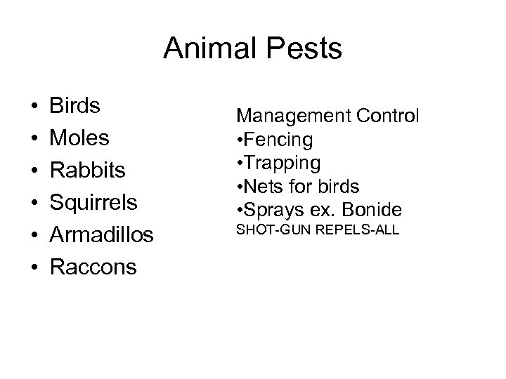 Animal Pests • • • Birds Moles Rabbits Squirrels Armadillos Raccons Management Control •