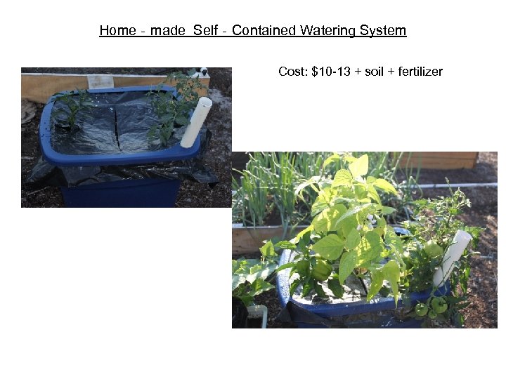 Home‐made Self‐Contained Watering System Cost: $10 -13 + soil + fertilizer 