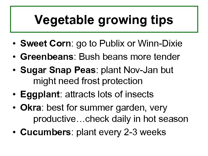 Vegetable growing tips • Sweet Corn: go to Publix or Winn-Dixie • Greenbeans: Bush