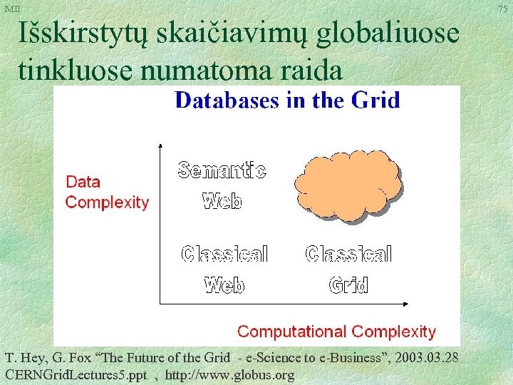 MII Išskirstytų skaičiavimų globaliuose tinkluose numatoma raida T. Hey, G. Fox “The Future of