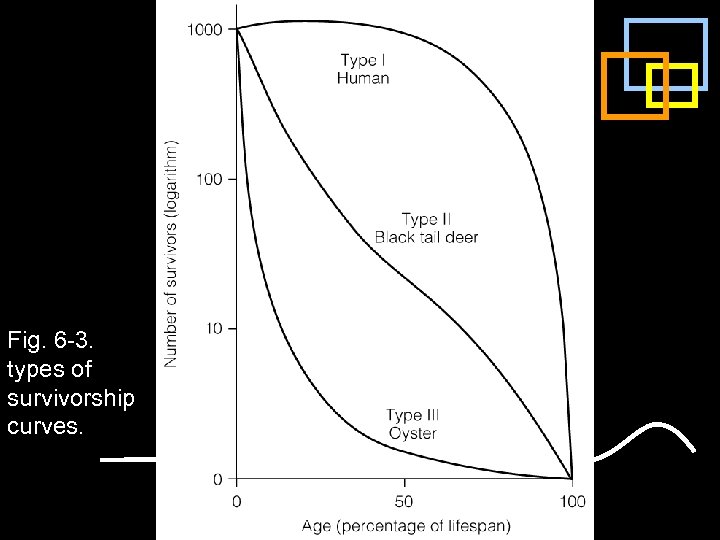 Fig. 6 -3. types of survivorship curves. 